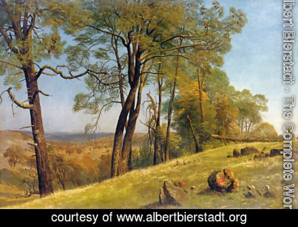 Albert Bierstadt - Landscape, Rockland County, California