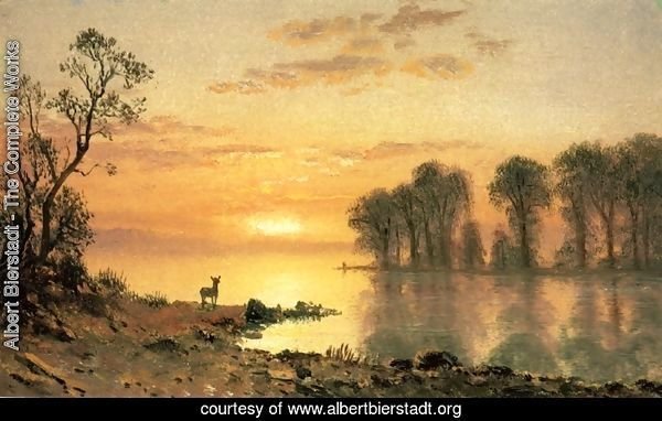 Sunset, Deer, and River