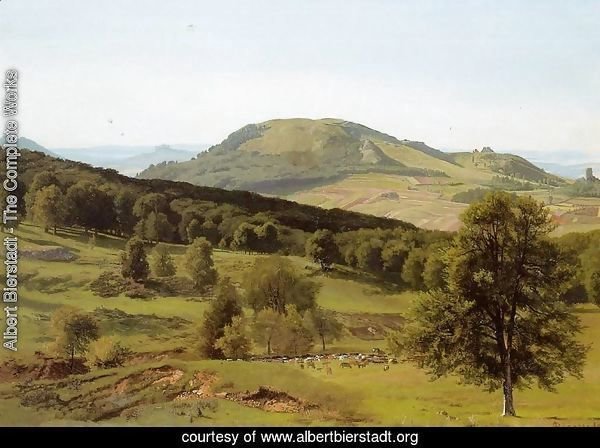 Landscape: Hill and Dale