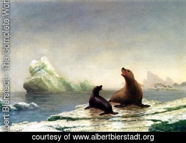 Albert Bierstadt - Seals