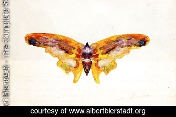 Albert Bierstadt - Butterfly I
