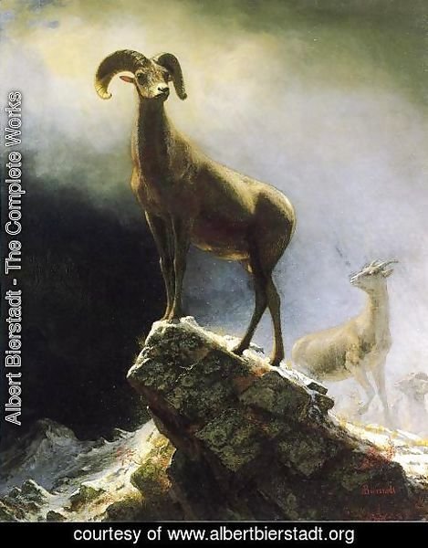 Albert Bierstadt - Rocky Mountain Sheep