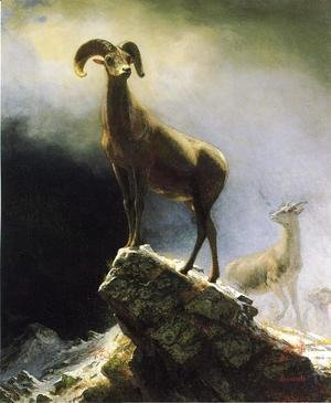 Albert Bierstadt - Rocky Mountain Sheep