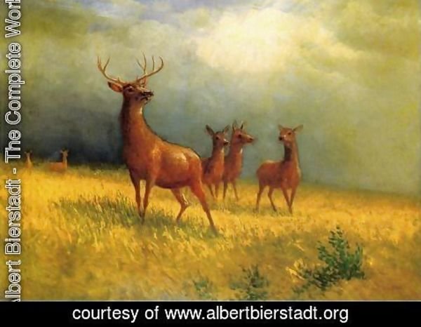 Albert Bierstadt - Deer in a Field