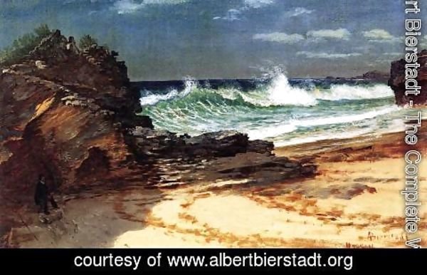 Albert Bierstadt - Beach at Nassau 2