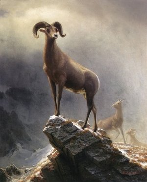 Albert Bierstadt - Rocky Mountain Sheep 1