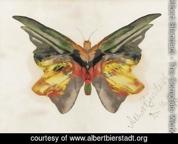 Albert Bierstadt - Butterfly 4