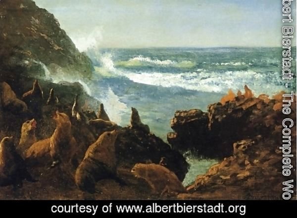 Albert Bierstadt - Sea Lions, Farallon Islands