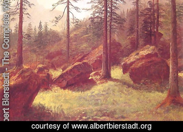 Albert Bierstadt - Wooded Landscape