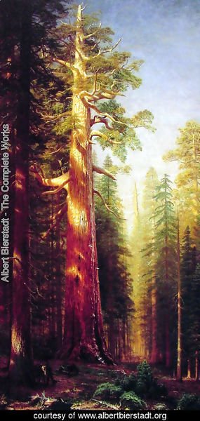 Albert Bierstadt - The Great Trees  Mariposa Grove  California