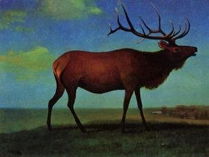 Albert Bierstadt - Elk