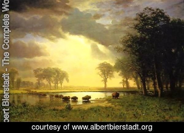Albert Bierstadt - The Buffalo Trail