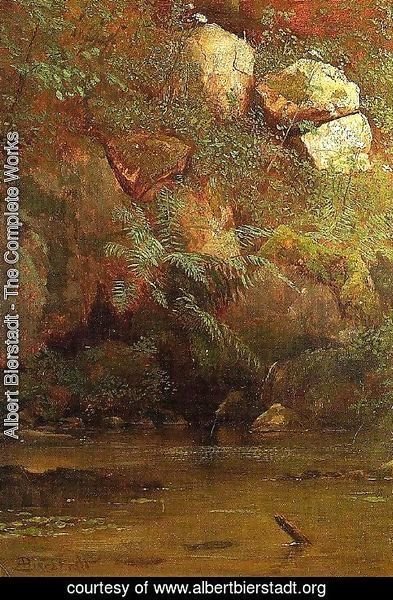 Albert Bierstadt - Ferns And Rocks On An Embankment
