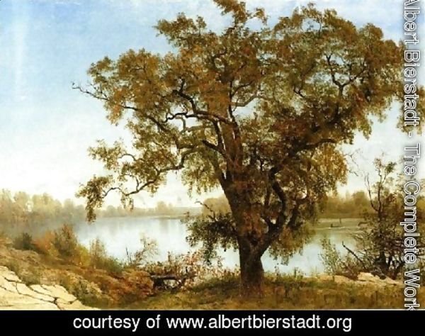 Albert Bierstadt - View From Sacramento
