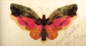 Albert Bierstadt - Butterfly 1900