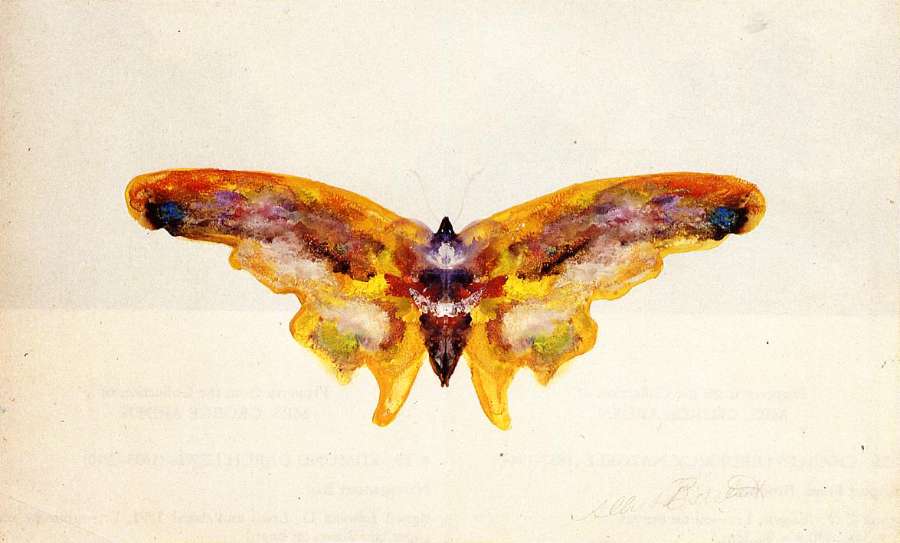 Butterfly I by Albert Bierstadt