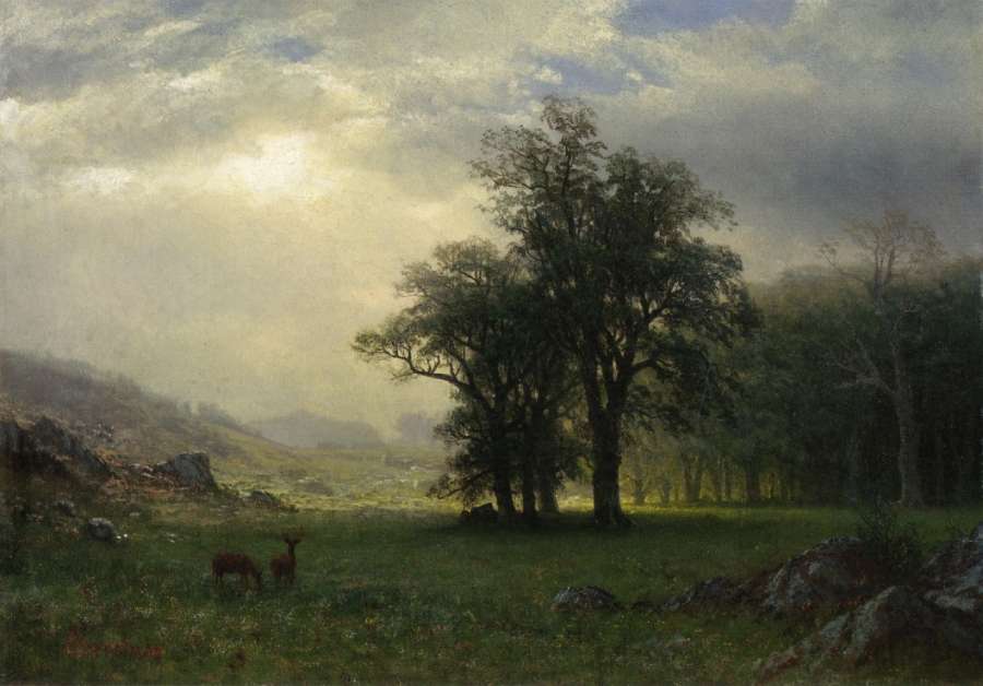 The Open Glen by Albert Bierstadt