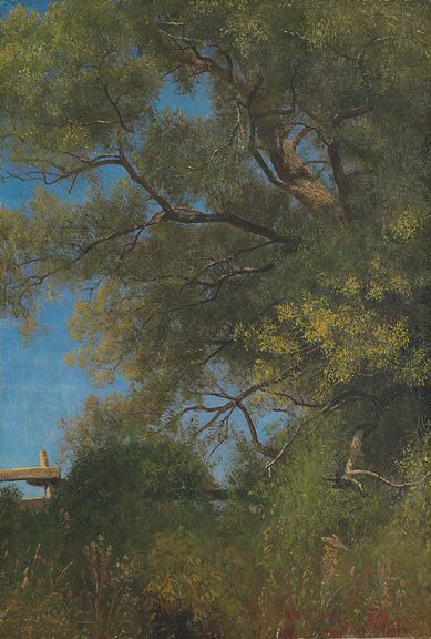 Salem Landscape by Albert Bierstadt