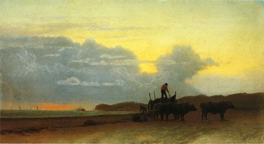 Coastal View, Newport by Albert Bierstadt