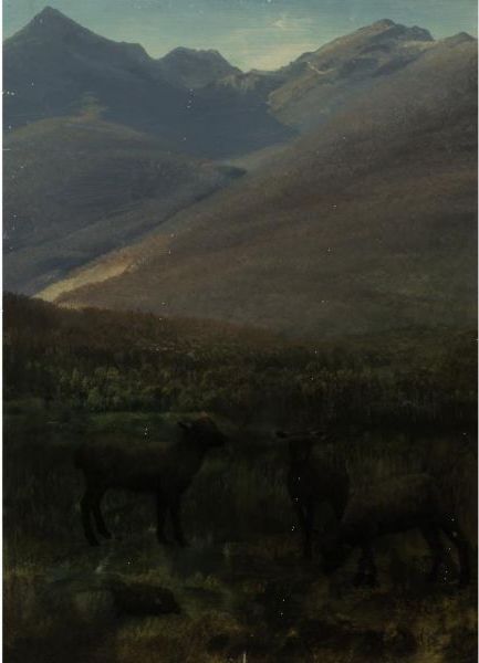 White Mountains Near Glen House by Albert Bierstadt