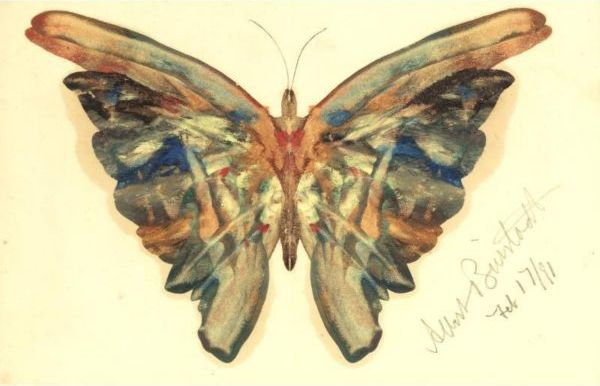 Butterfly 3 by Albert Bierstadt
