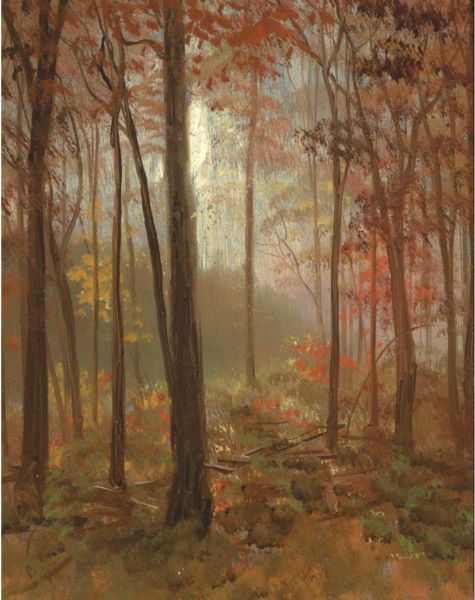 The Redwood Trees Of California by Albert Bierstadt