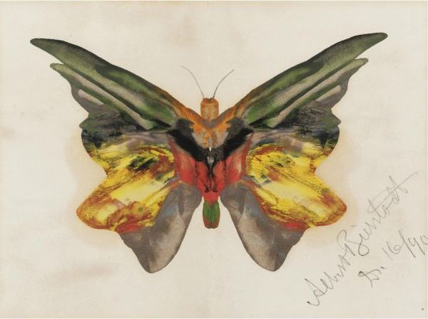 Butterfly 4 by Albert Bierstadt