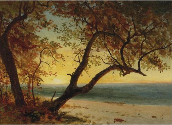 Landscape In The Bahamas by Albert Bierstadt