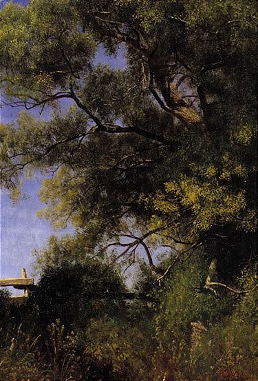 Salem landscape 2 by Albert Bierstadt