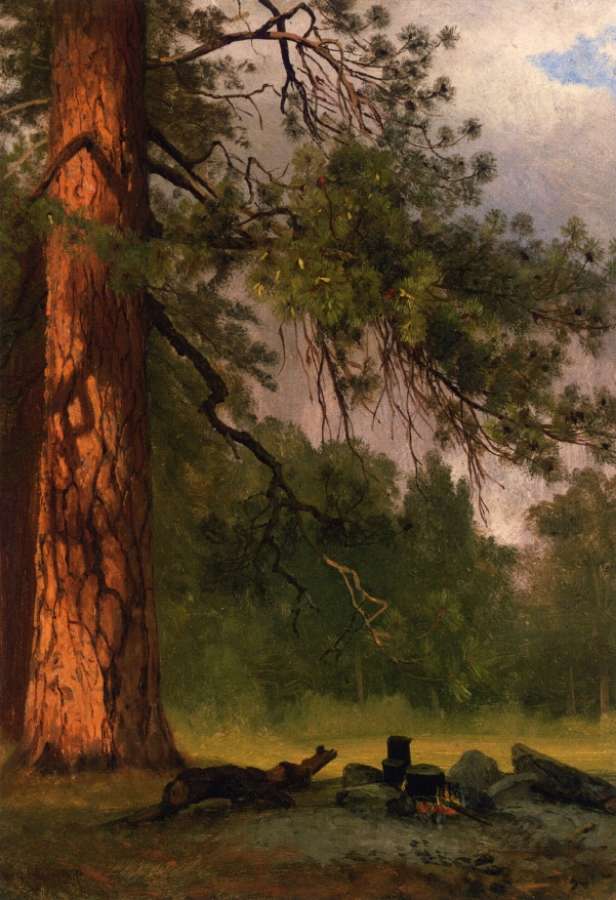Yosemite Camp Kitchen by Albert Bierstadt