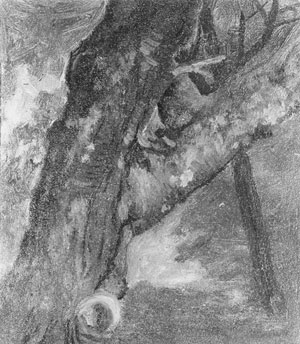 Study Of A Tree by Albert Bierstadt