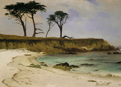 Sea Cove by Albert Bierstadt