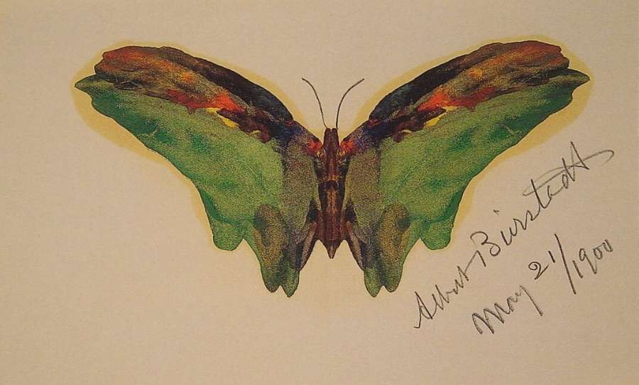 Butterfly by Albert Bierstadt