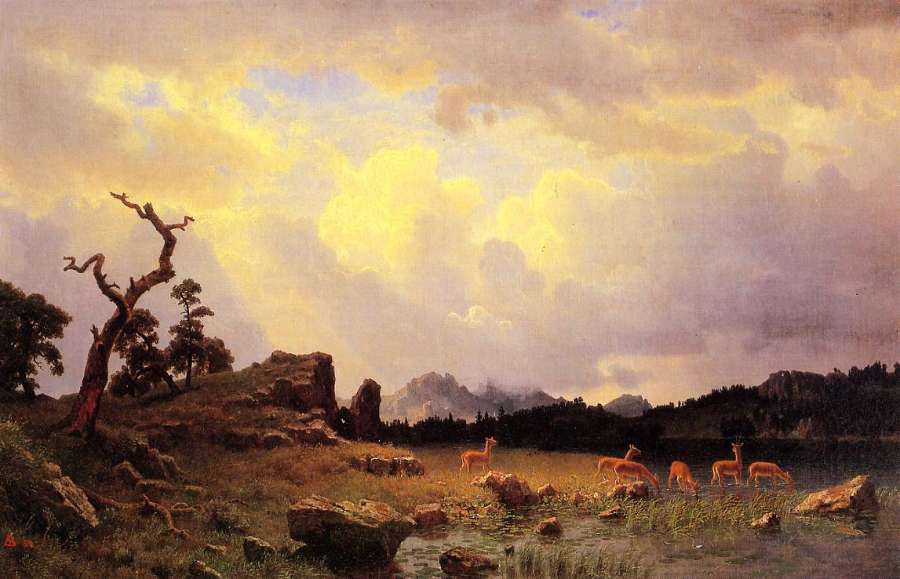 Thunderstorm In The Rocky Mountains by Albert Bierstadt