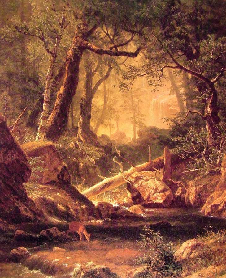White Mountains  New Hampshire by Albert Bierstadt