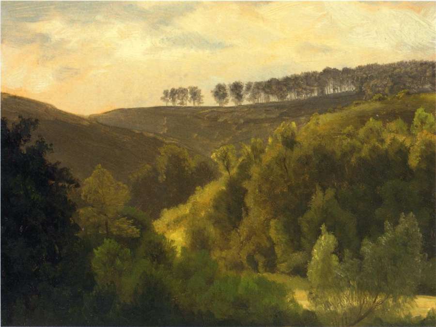 Sunrise Over Forest And Grove by Albert Bierstadt
