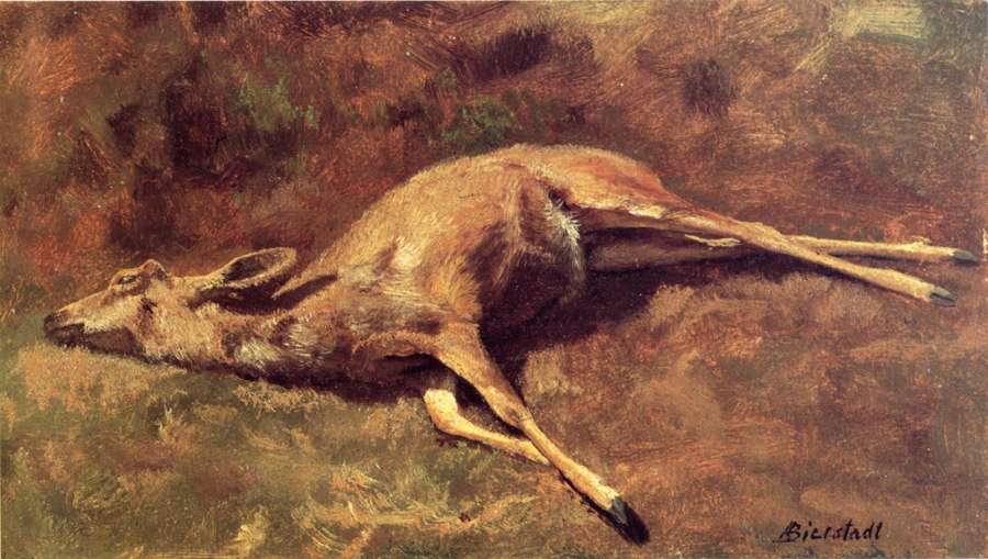 Native Of The Woods by Albert Bierstadt