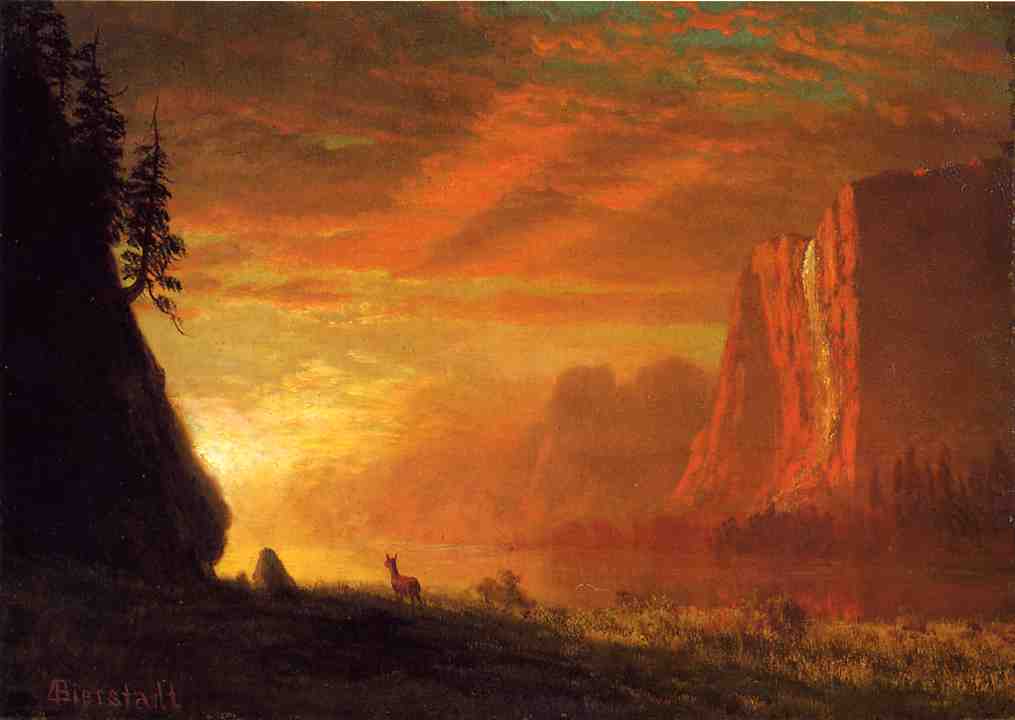 Deer At Sunset by Albert Bierstadt