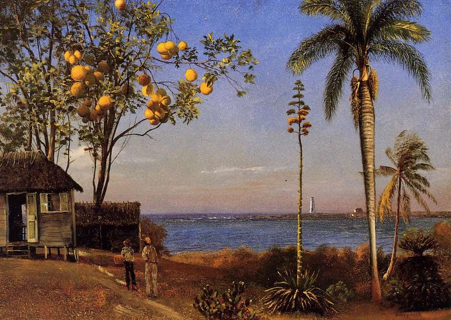 A View In The Bahamas by Albert Bierstadt