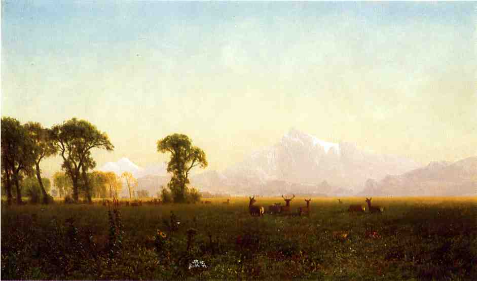 Deer Grazing  Grand Tetons  Wyoming by Albert Bierstadt