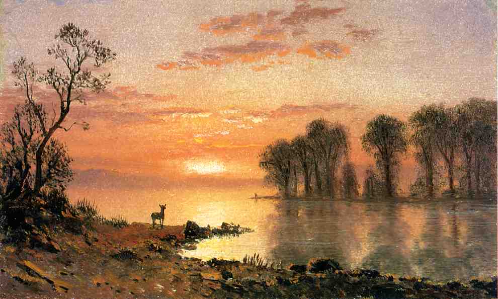 Sunset  Deer  And River by Albert Bierstadt
