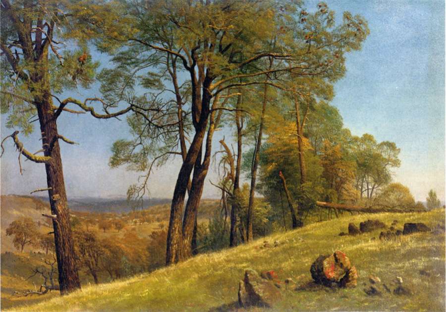 Landscape  Rockland County  California by Albert Bierstadt