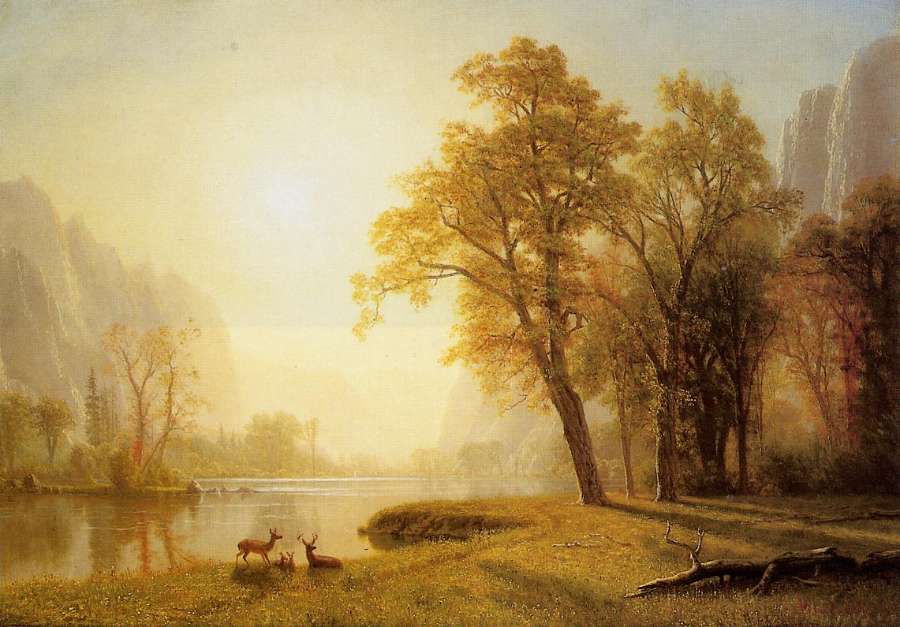Kings River Canyon  California by Albert Bierstadt