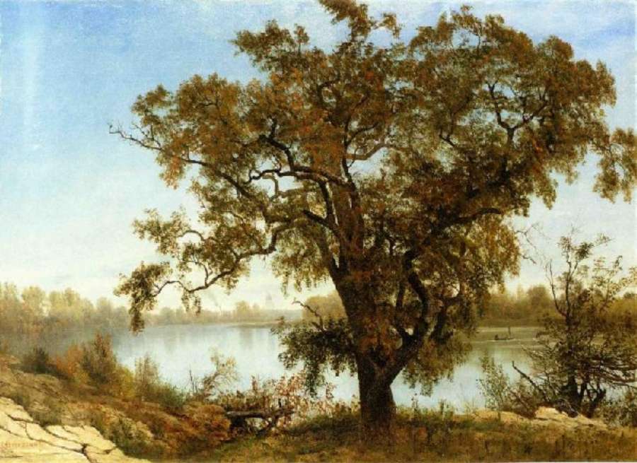 View From Sacramento by Albert Bierstadt