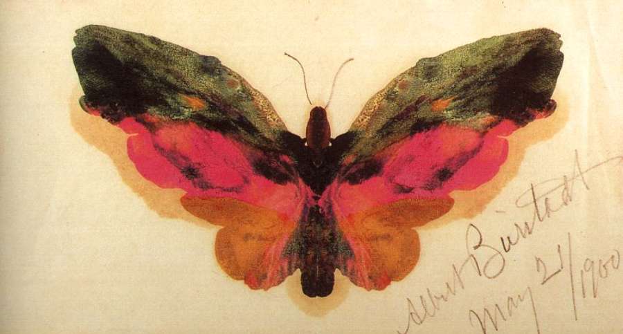 Butterfly 1900 by Albert Bierstadt