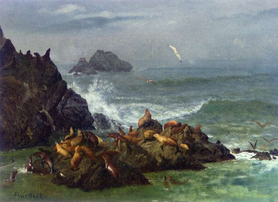 Seal Rocks, Pacific Ocean, California by Albert Bierstadt