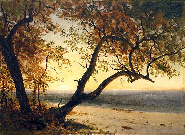 Untitled [Landscape in Florida or the Bahamas] by Albert Bierstadt