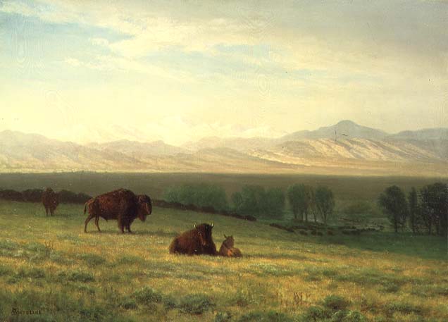 Buffalo on the Plains, c.1890 by Albert Bierstadt