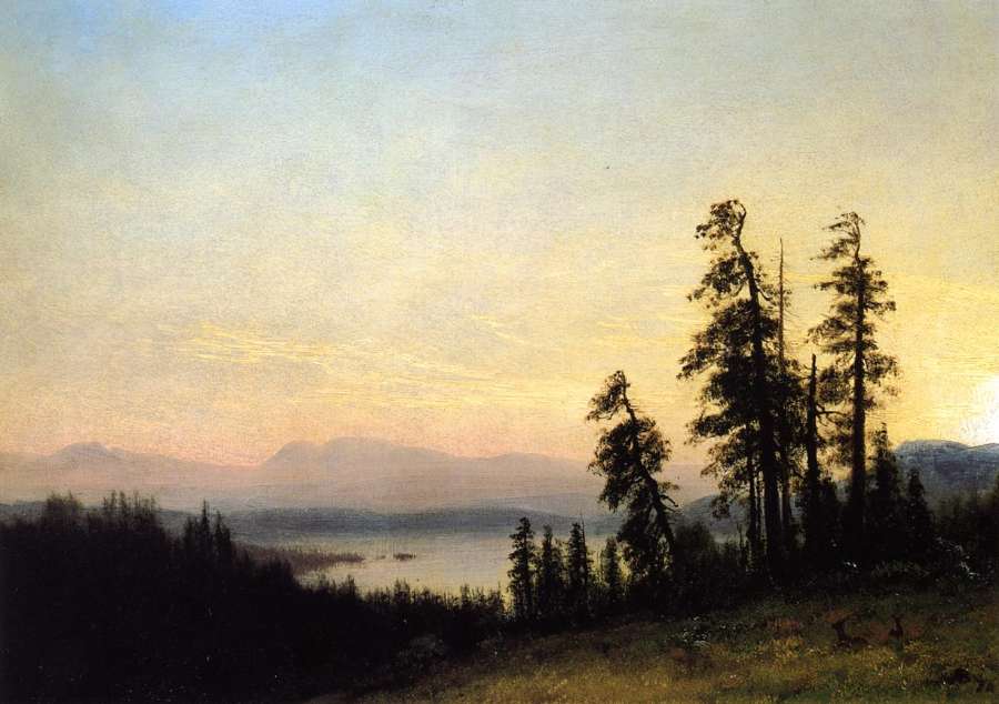 Landscape with Deer, View of Estes Park, Colorado by Albert Bierstadt