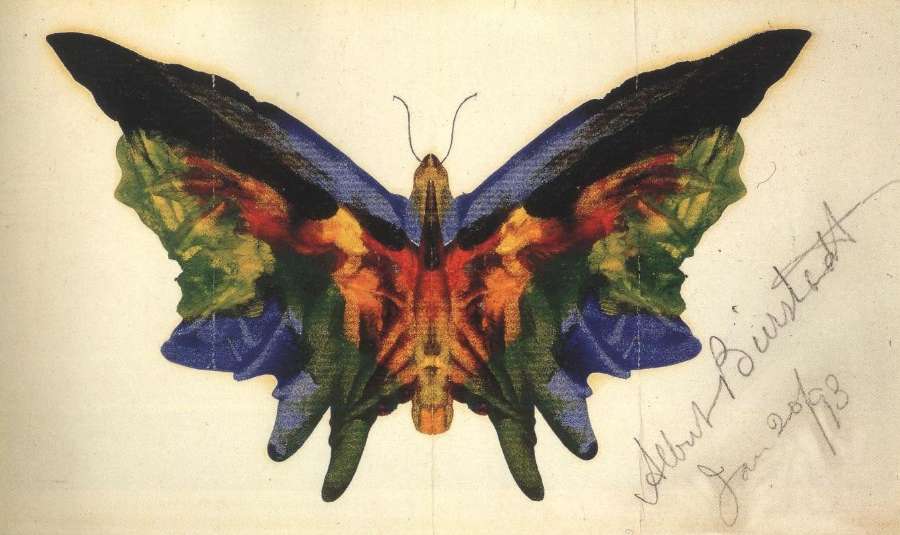 Butterfly 1893 by Albert Bierstadt